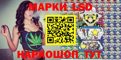 стаф Донской
