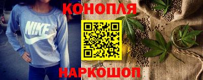 стаф Донской