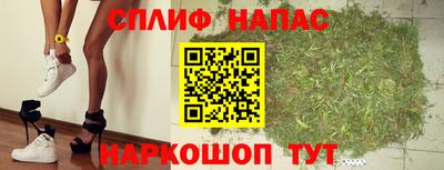 стаф Донской