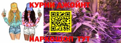 гидра Дубна