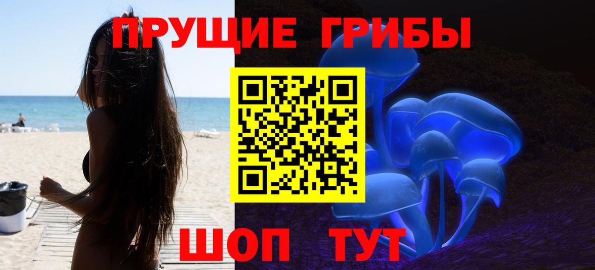 Псилоцибиновые грибы GOLDEN TEACHER  Вход с VPN  Дзержинск 